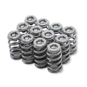 WSRD Terminator Valve Spring Kit | Can-Am X3 & Ski-Doo 900ACE